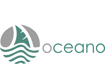 Logo 4